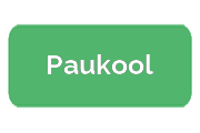 Ремонт сигвеев Paukool